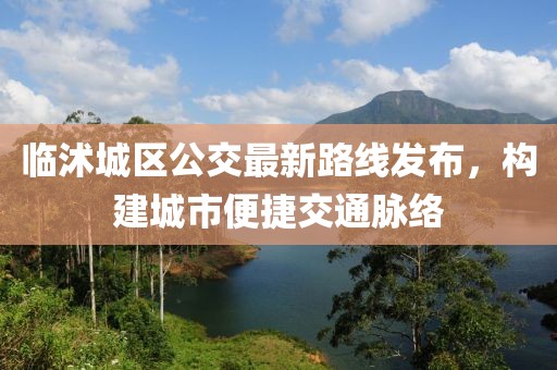 臨沭城區(qū)公交最新路線發(fā)布，構(gòu)建城市便捷交通脈絡(luò)