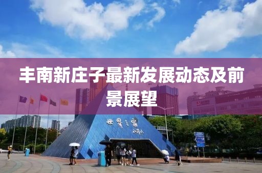 豐南新莊子最新發(fā)展動態(tài)及前景展望