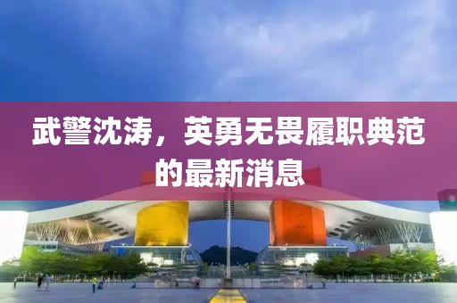 武警沈濤，英勇無畏履職典范的最新消息