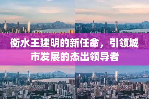 衡水王建明的新任命，引領城市發(fā)展的杰出領導者