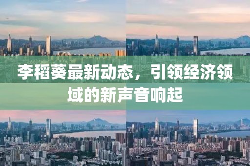 李稻葵最新動態(tài)，引領經(jīng)濟領域的新聲音響起