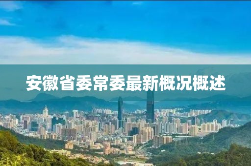 安徽省委常委最新概況概述