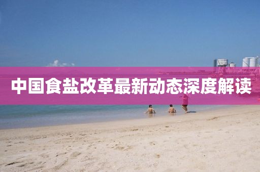 中國(guó)食鹽改革最新動(dòng)態(tài)深度解讀