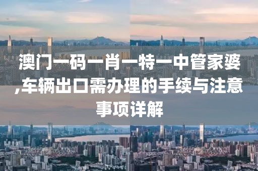 澳門一碼一肖一特一中管家婆,車輛出口需辦理的手續(xù)與注意事項(xiàng)詳解