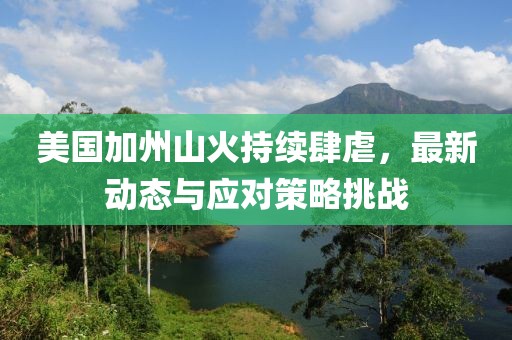 美國(guó)加州山火持續(xù)肆虐，最新動(dòng)態(tài)與應(yīng)對(duì)策略挑戰(zhàn)