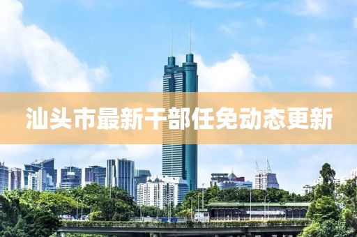 汕頭市最新干部任免動態(tài)更新