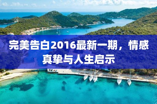 完美告白2016最新一期，情感真摯與人生啟示