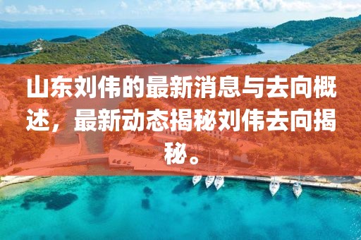 山東劉偉的最新消息與去向概述，最新動(dòng)態(tài)揭秘劉偉去向揭秘。