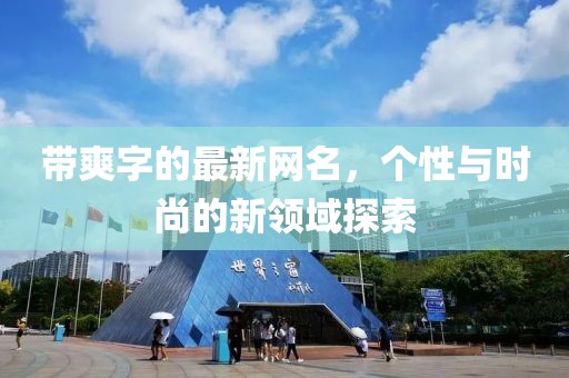 帶爽字的最新網(wǎng)名，個性與時尚的新領(lǐng)域探索