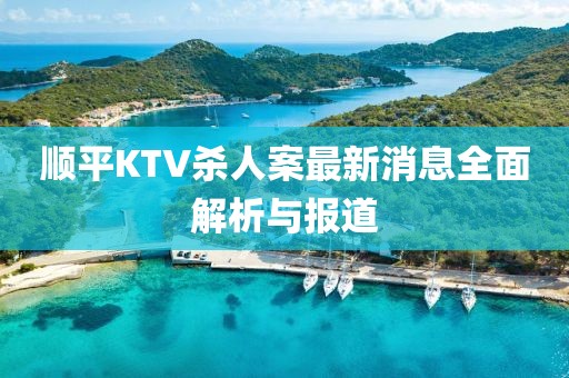 順平KTV殺人案最新消息全面解析與報道