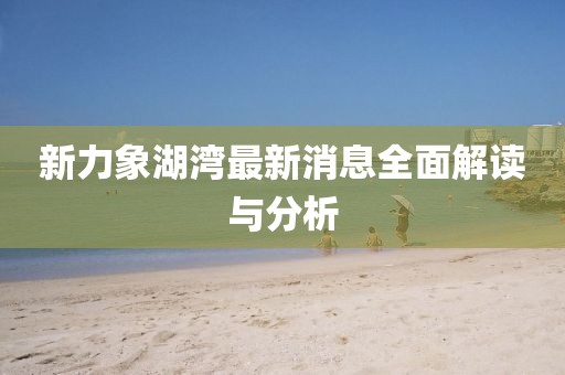 新力象湖灣最新消息全面解讀與分析