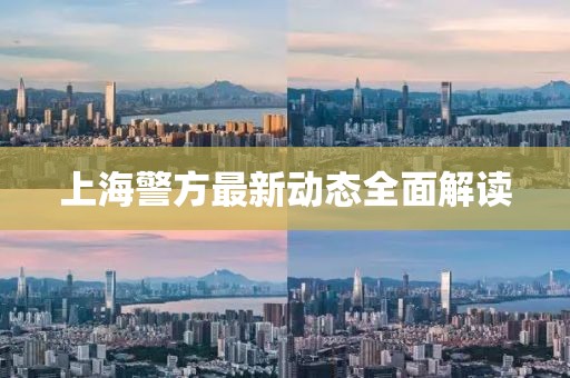 上海警方最新動態(tài)全面解讀