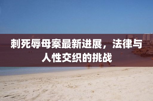 刺死辱母案最新進(jìn)展，法律與人性交織的挑戰(zhàn)