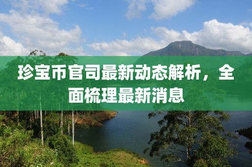 珍寶幣官司最新動態(tài)解析，全面梳理最新消息