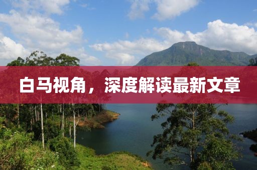白馬視角，深度解讀最新文章