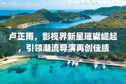 盧正雨，影視界新星璀璨崛起，引領(lǐng)潮流導(dǎo)演再創(chuàng)佳績