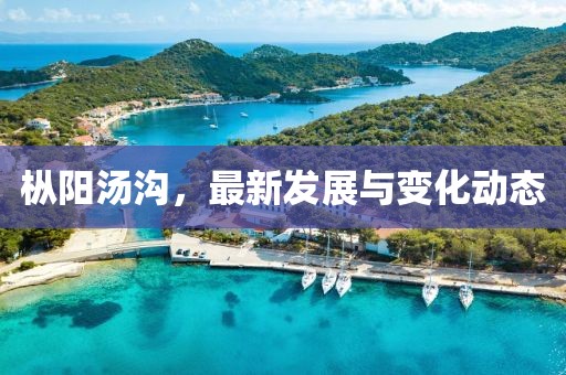 樅陽(yáng)湯溝，最新發(fā)展與變化動(dòng)態(tài)