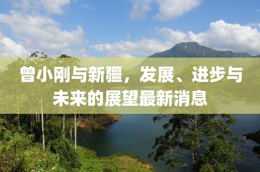 曾小剛與新疆，發(fā)展、進(jìn)步與未來(lái)的展望最新消息