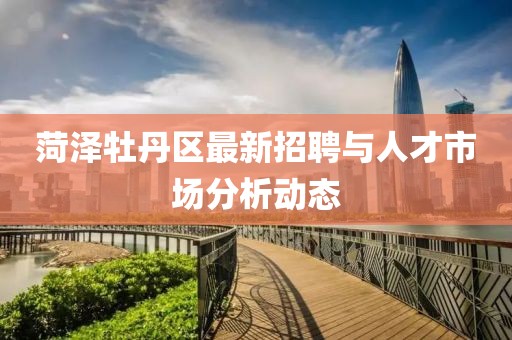 菏澤牡丹區(qū)最新招聘與人才市場分析動態(tài)