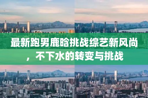 九桐觴