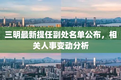 三明最新提任副處名單公布，相關(guān)人事變動分析
