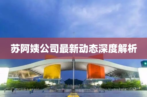 蘇阿姨公司最新動(dòng)態(tài)深度解析