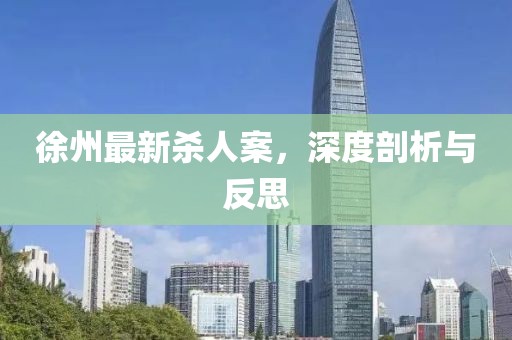 徐州最新殺人案，深度剖析與反思