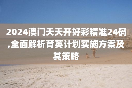 2024澳門天天開好彩精準24碼,全面解析育英計劃實施方案及其策略