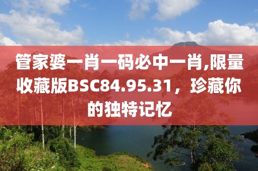 管家婆一肖一碼必中一肖,限量收藏版BSC84.95.31，珍藏你的獨特記憶