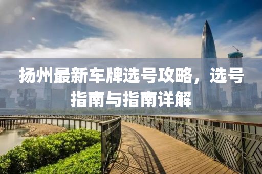 揚(yáng)州最新車牌選號攻略，選號指南與指南詳解