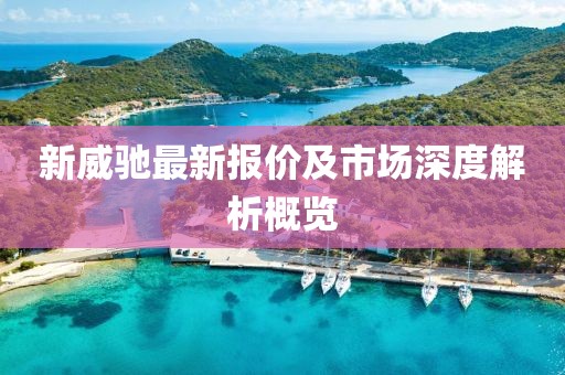 新威馳最新報價及市場深度解析概覽