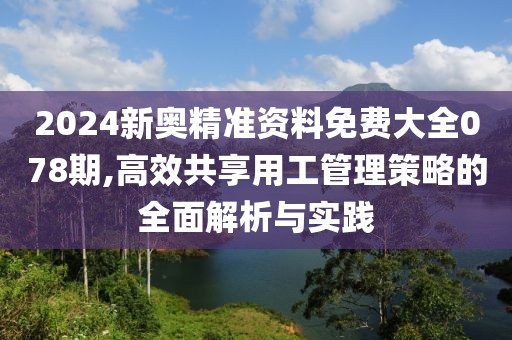 2024新奧精準(zhǔn)資料免費(fèi)大全078期,高效共享用工管理策略的全面解析與實(shí)踐