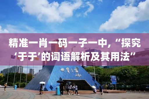 精準(zhǔn)一肖一碼一子一中,“探究‘于于’的詞語解析及其用法”