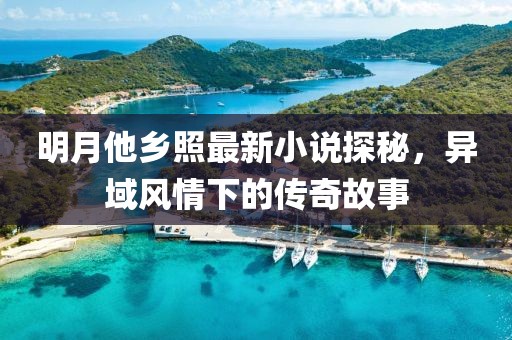 明月他鄉(xiāng)照最新小說(shuō)探秘，異域風(fēng)情下的傳奇故事