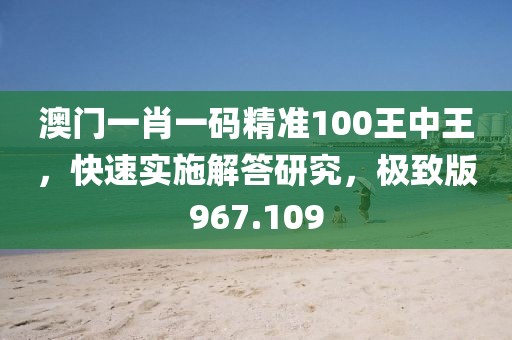 澳門一肖一碼精準100王中王，快速實施解答研究，極致版967.109