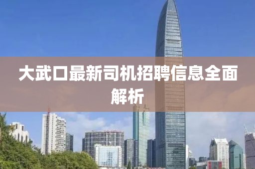 大武口最新司機招聘信息全面解析
