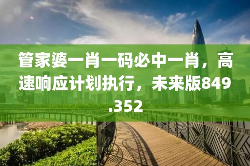 管家婆一肖一碼必中一肖，高速響應(yīng)計(jì)劃執(zhí)行，未來版849.352