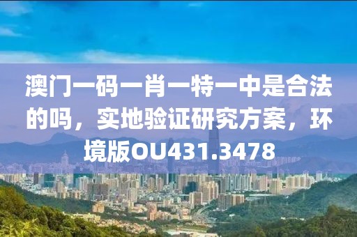 澳門一碼一肖一特一中是合法的嗎，實地驗證研究方案，環(huán)境版OU431.3478