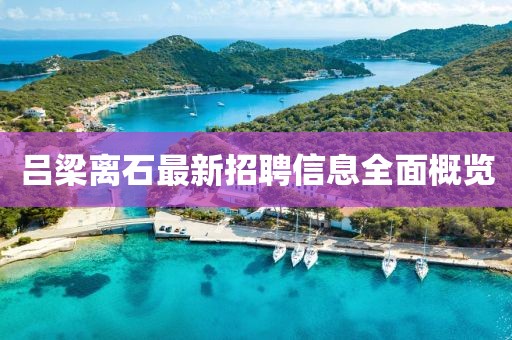 呂梁離石最新招聘信息全面概覽