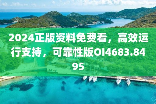 2024正版資料免費(fèi)看，高效運(yùn)行支持，可靠性版OI4683.8495