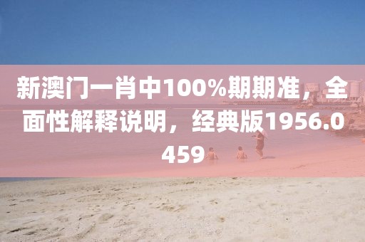 新澳門一肖中100%期期準(zhǔn)，全面性解釋說明，經(jīng)典版1956.0459