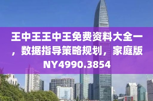 王中王王中王免費資料大全一，數(shù)據(jù)指導(dǎo)策略規(guī)劃，家庭版NY4990.3854