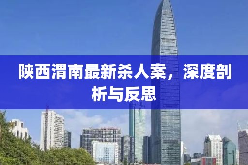 陜西渭南最新殺人案，深度剖析與反思