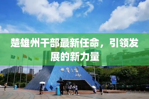 楚雄州干部最新任命，引領(lǐng)發(fā)展的新力量
