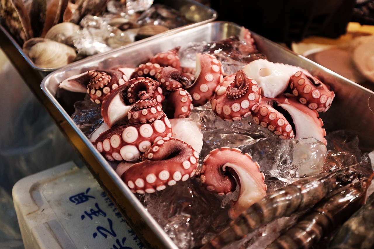 探索海洋美食新境界，最新海鮮菜品一覽