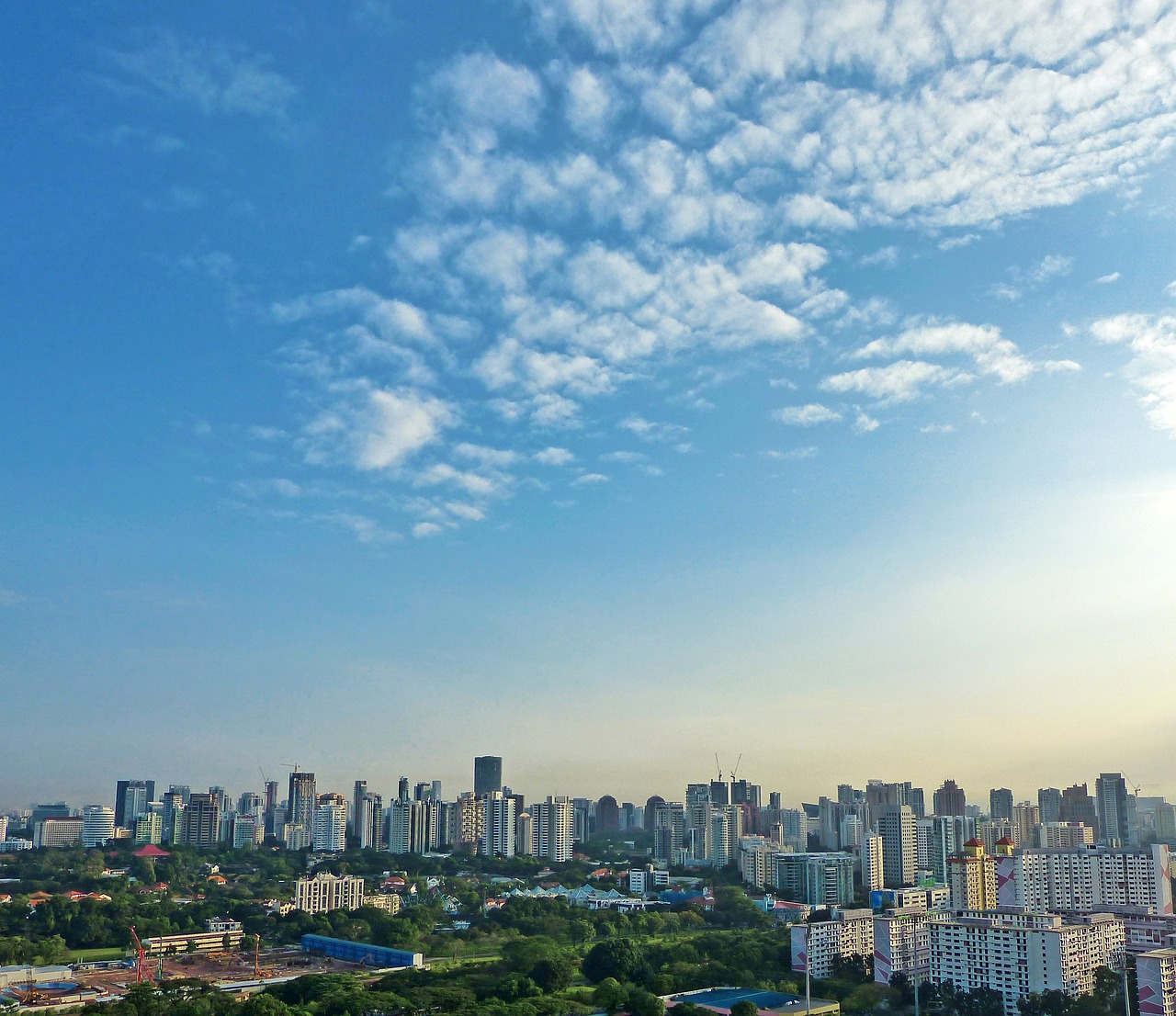 白桃園 第43頁