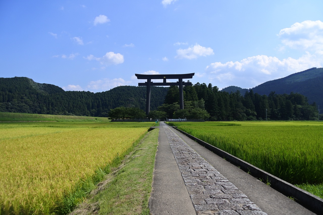 洛陽三山村最新規(guī)劃，重塑鄉(xiāng)村魅力，引領(lǐng)未來發(fā)展之路