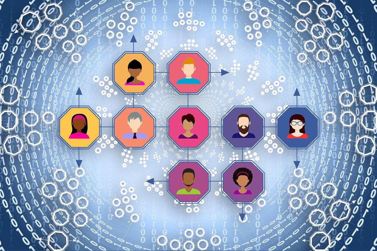 最新社保卡照片要求及其影響分析概述
