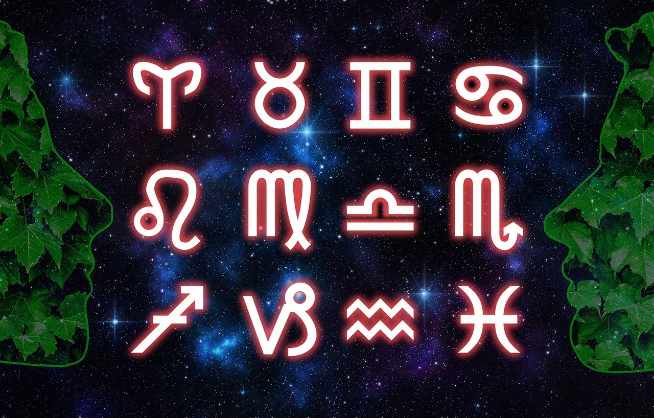 2024新澳門天天開獎攻略，時尚，交互版7195.3197