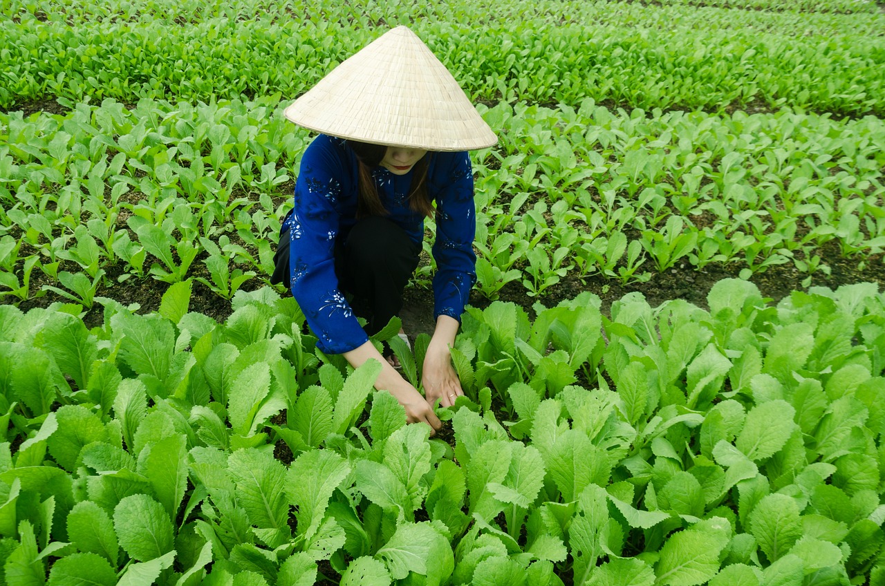 山東閩源最新情況概述，最新動態(tài)與發(fā)展分析
